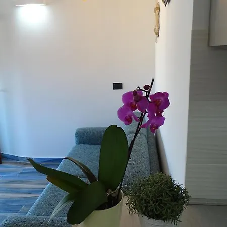 Sailor's House Apartment